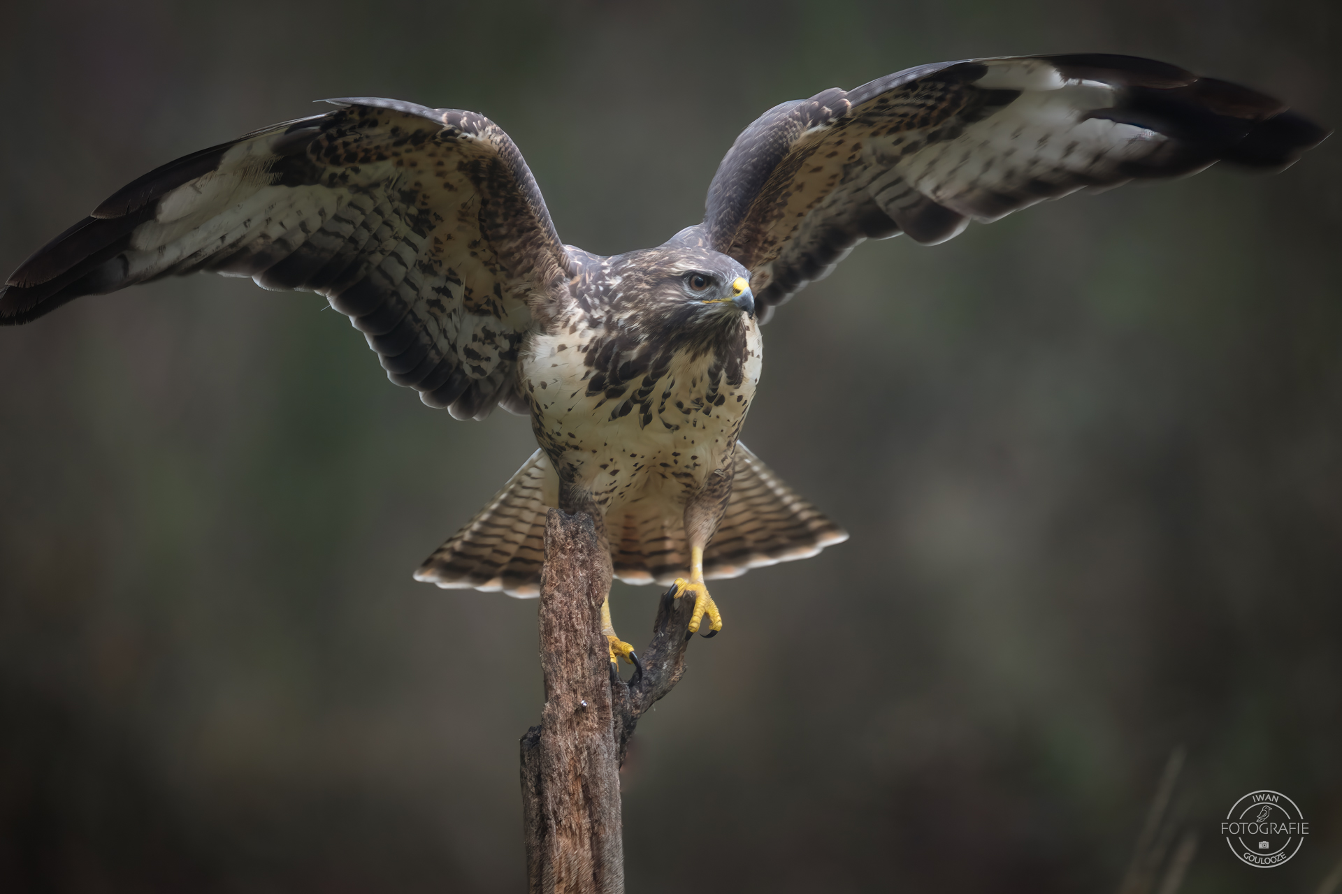 23 oktober 2022 093009 1R2A8436 bewerkt bewerkt